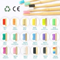 Eco Friendly Adult Toothbrush with Soft Bristles Custom Logo Option